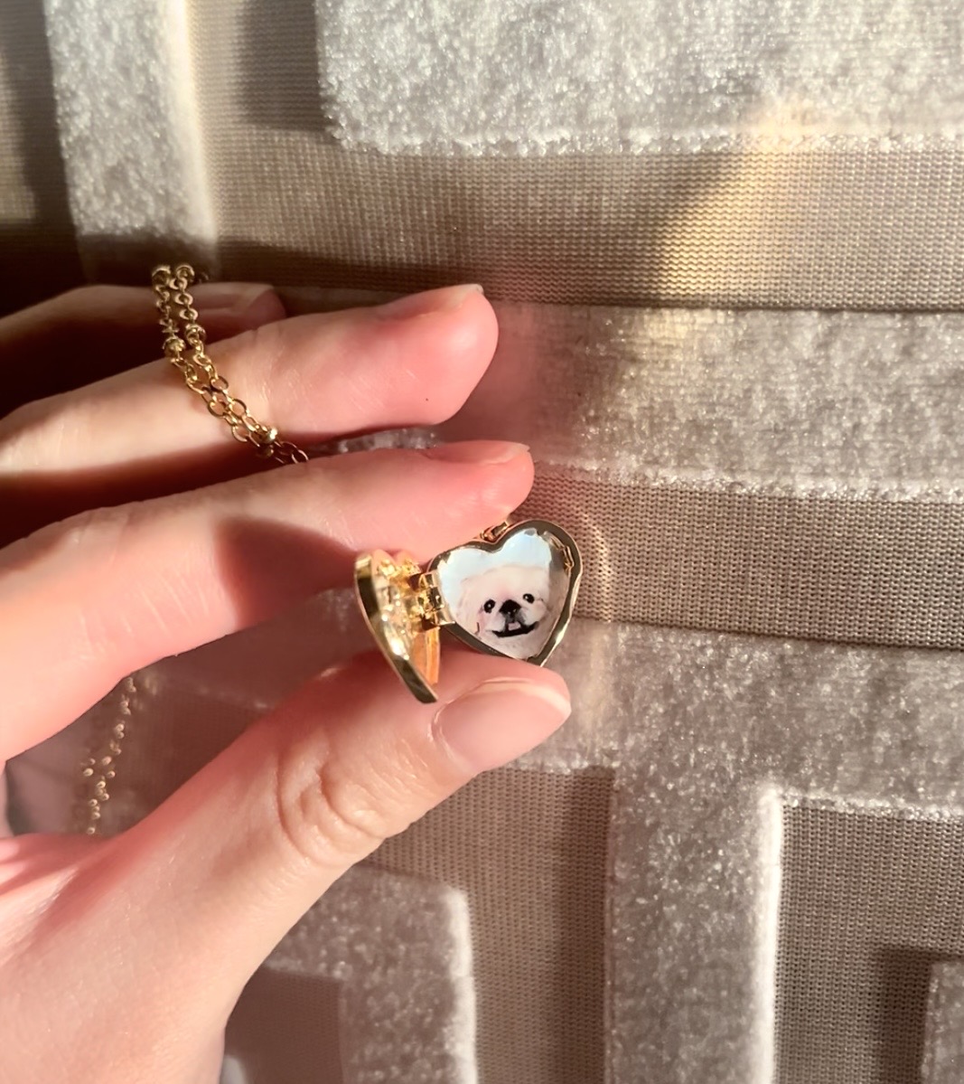 寵物似顏繪飾物——Locket頸鏈
