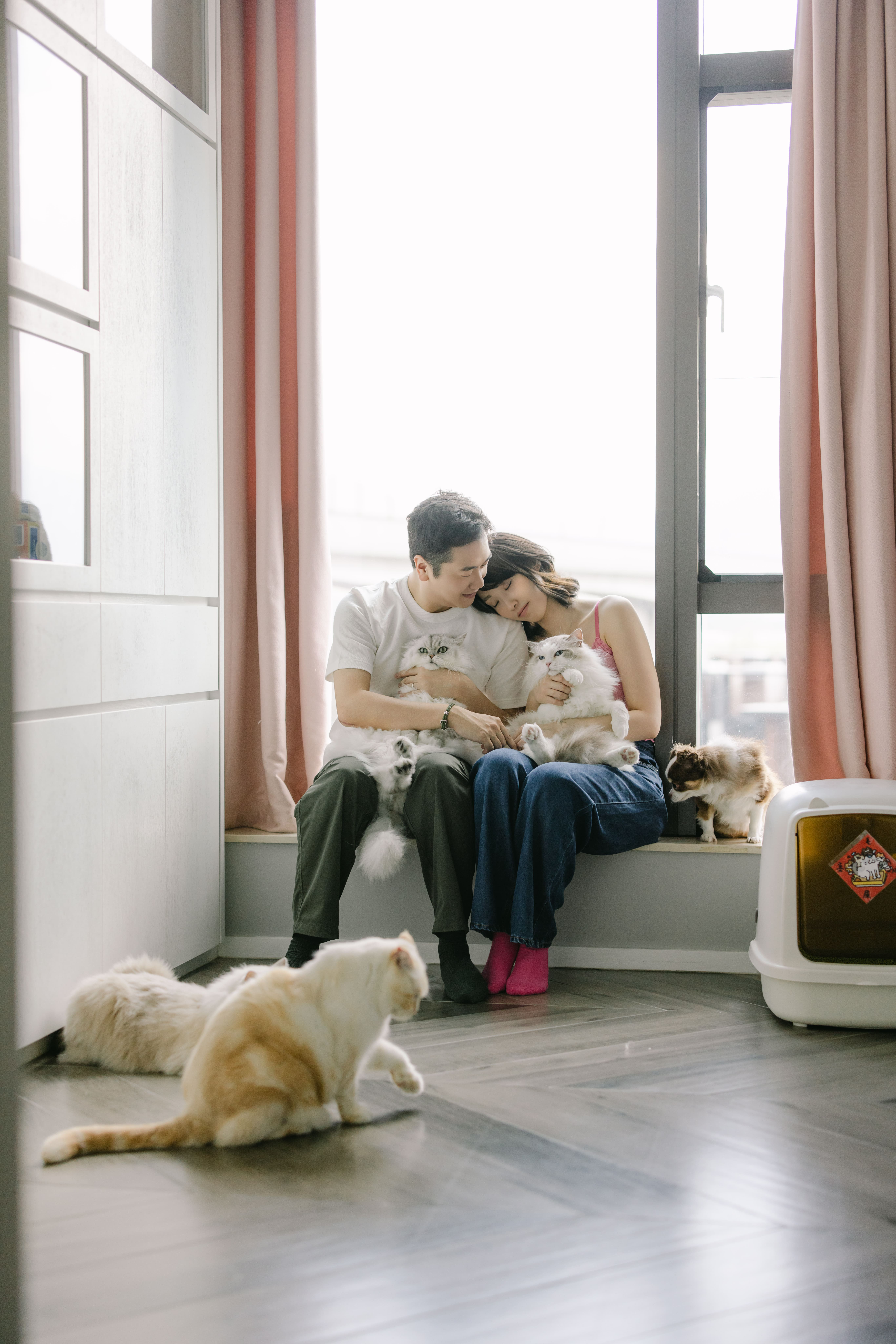 Pawfect Home